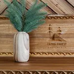 Tatra Forest アパート *